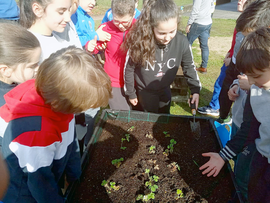 Pequenos e pequenas do CEIP de Santo André de Xeve